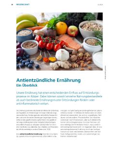 Antientzündliche Ernährung – Ein Überblick (Download)