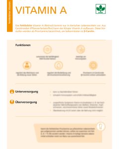 Vitamin A - Factsheet