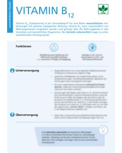 Vitamin B12 - Factsheet