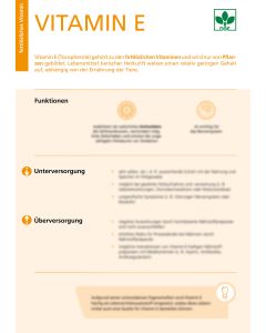 Vitamin E - Factsheet