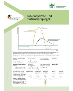 Kohlenhydrate und Blutzuckerspiegel (20er Pack)