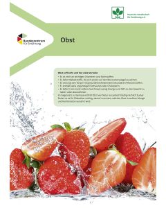 Obst (20er Pack)