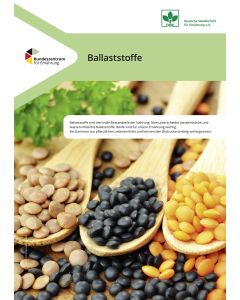 Ballaststoffe (20er Pack)